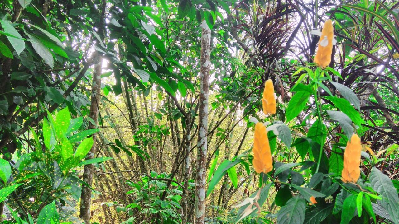 Bed and Breakfast Leeland Munnar Esterno foto